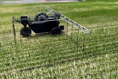 Rain 360© unit applies watery manure to a standing crop of corn.