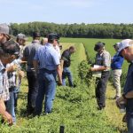 The hay cut got close examination at the recent Ontario Forage Expo, near Gorrie, Ont.