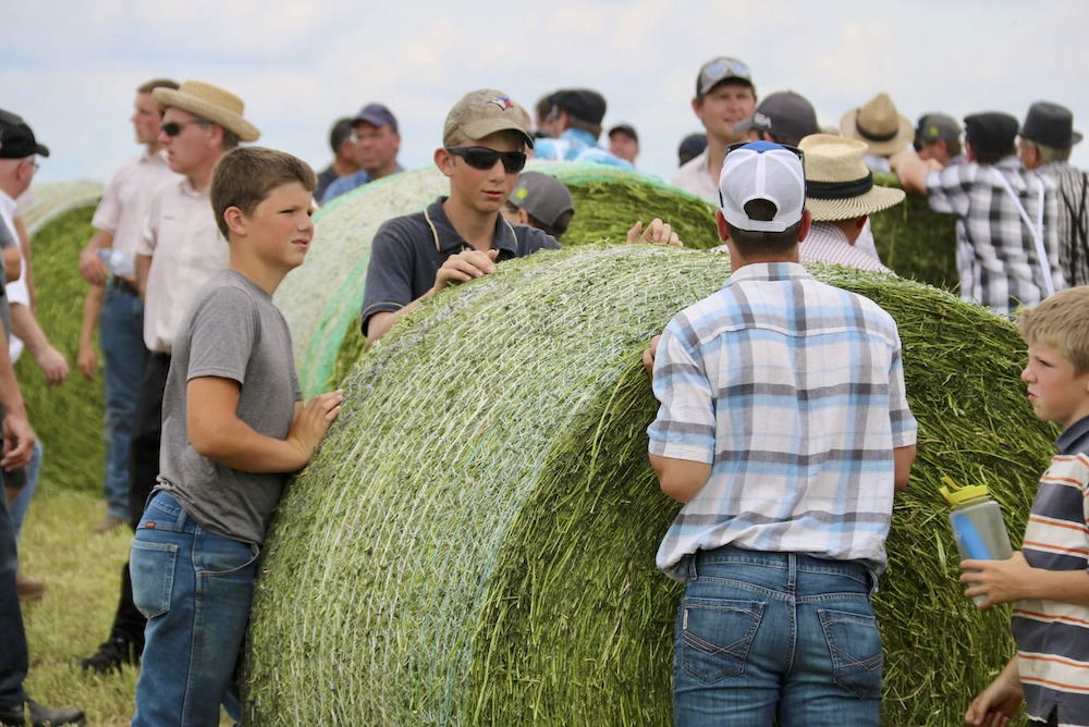 There were numerous young people taking in the Ontario Forage Expo, western edition, in Gorrie, Ont.