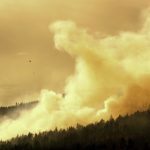 File photo of forest fire.