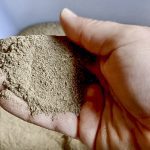 insect protein meal