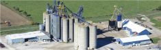 OEL has purchased P&H Ltd's Centralia elevator and crop input site.