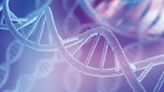 Photo: artisteer/istock/getty images