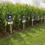 Crop Plots at Canada's Outdoor Farm Show