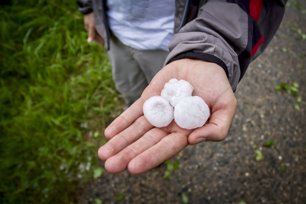 Photo: iStock/Getty Images Plus
