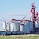 A train of grain cars stops at Cargill’s elevator near Nesbitt, Man. Photo: Alexis Stockford