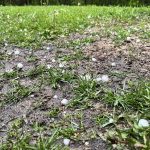 Hail in a yard