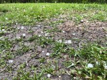 Hail in a yard