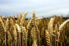 Photo: iStock