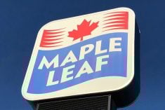 File photo of signage outside Maple Leaf Foods’ Lagimodiere Boulevard plant in Winnipeg. (Dave Bedard photo)