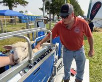 Bill McCutcheon, producer and lamb merchandiser for Ontario Lamb Marketing Inc., shows sheep producers how to assess a live lamb for ideal marketability at Canada's Outdoor Farm Show, Sept. 11, 2024