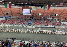 The Holstein classes are usually large at World Dairy Expo, such as this class of cows in 2023.
