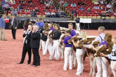 Kevin Doeberiener, West Salem, Ohio, official judge of the Internattional Red and White Show confers with Adam Hodgins, of Kincardine, Ont., the associate judge. Photo: John Greig