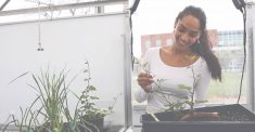 The first students to participate in the University of Guelph’s agricultural internship program will come from the agricultural economics, animal science and plant science programs. 