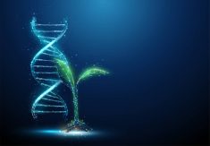 Changes possible to international plant gene sharing treaty
