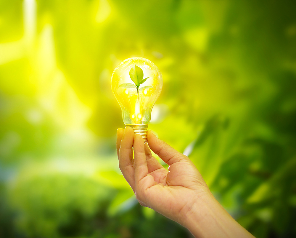 New accelerator hub offers support to innovators