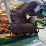 Piccioni uses European technology to offload 38 metric tonnes of substrate and feed it into the growing racks. It takes two hours to finish loading one growing room.