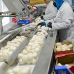 The spawn-to-shelf facility includes a sorting and packaging area where mushrooms are cleaned, graded and packaged for same-day delivery.