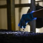 As racks fill, workers crumble large clumps of substrate by hand to ensure the best conditions for mushroom development at Piccioni Bros. Mushroom Farm, Dundas, Ont. Oct. 3, 2024.