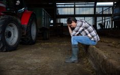 Agriculture-specific mental health help targeted for farmers