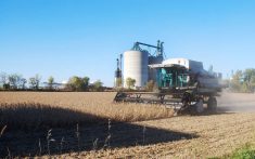 Soybean harvest 2014.