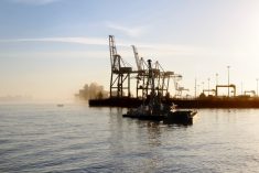 File photo of cranes at the Port of Montreal. (Jean-Paul_Lejeune/iStock/Getty Images)