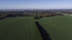 New phosphorus reduction program receives $17.41 million from Canada Water Agency