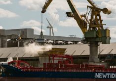 The BRICS group, which comprises major wheat exporters and importers, wants to create a new international grain exchange.