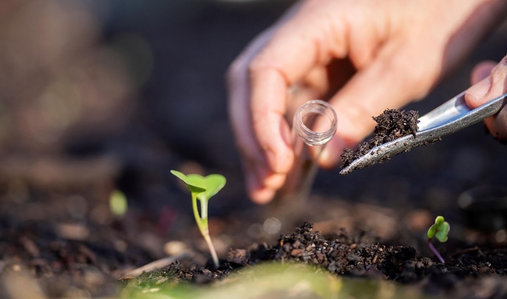 Working toward a more sustainable and innovative agricultural future with <span style=" font-style: normal;">Ascophyllum nodosum</span> biostimulants.