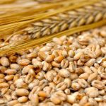 “If there’s lots of grain, the prices will be down. If there’s not, the prices will be pretty good.” Photo: Thinkstock