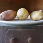 Irish Lumper potato a catalyst to history
