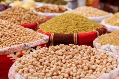 Iggi_Boo/iStock/Getty Images
