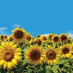 Photo: Thinkstock