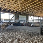 Farm building code updates will drive insurance increases