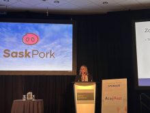 Zoning is a key way to stabilize the pork market should African swine fever be found in Canada, according to Bobbie Lundquist of the Canadian Food Inspection Agency.
