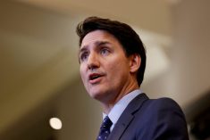 Prime Minister Justin Trudeau on October 14, 2024.