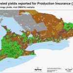 Agricorp data shows a 2024 average of about 204 bushels per acre for corn among production insurance customers in