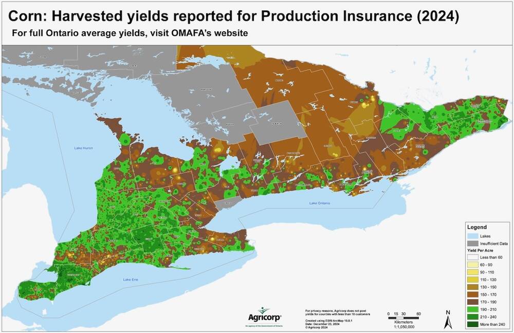 Agricorp data shows a 2024 average of about 204 bushels per acre for corn among production insurance customers in 