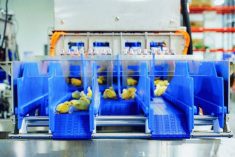 Targan’s WingScan technology allows chicks to be sexed without human intervention.