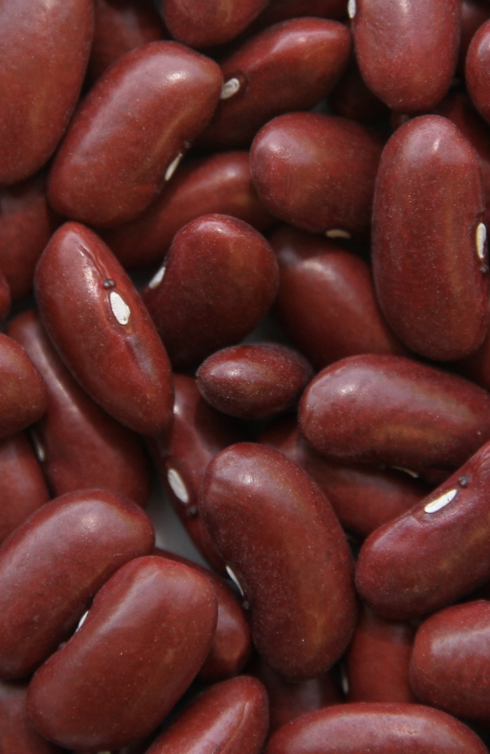 Dynasty kidney bean named Innovation of the Year