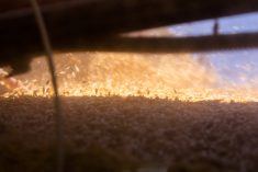 (Collab Media/iStock/Getty Images)