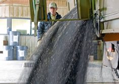 Canola sector sees tariff pain ahead