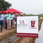 Photo: U of A System Division of Agriculture/Mary Hightower