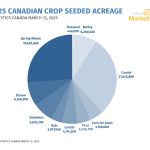 A pie chart showing 2025 Canadian crop seeded acreage, sourced from Statistics Canada