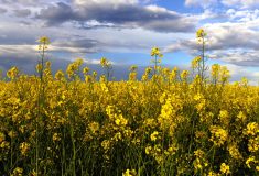 Photo: Thinkstock