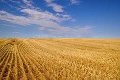 Photo: Thinkstock