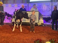 Calves for a Cause happening April 2 at the Canadian Dairy XPO is a charitable event that raises funds for the Children’s Health Foundation of London. 