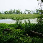 Extension needed for better water management