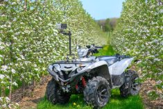 Technology boosts efficiency fruit and vegetable growers say