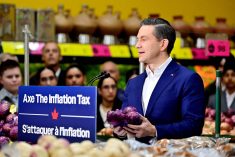 Conservative platform promises tax cuts, farmland protection
